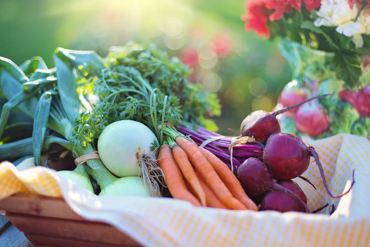 Korb mit frischem Gemüse — Quelle von Vitaminen und Mikronährstoffen