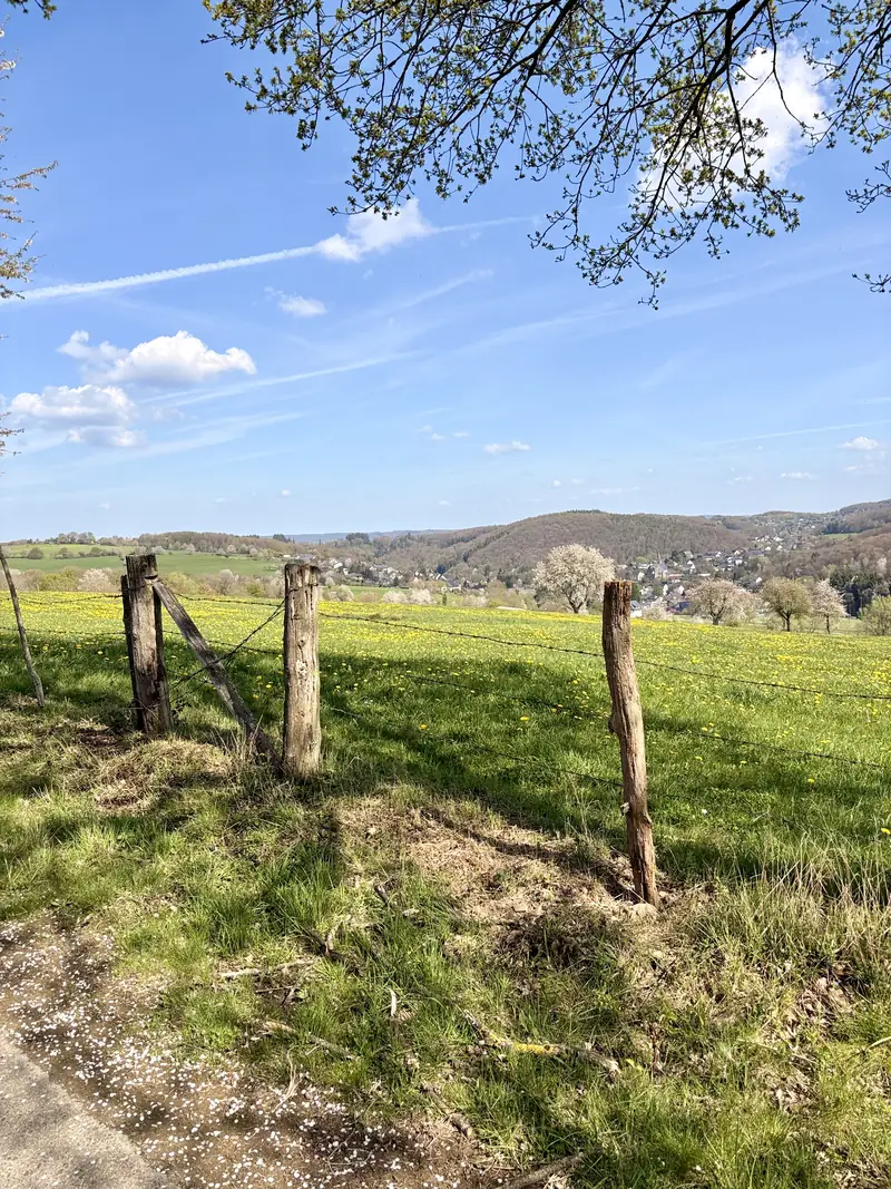 Frühlingswiese mit Löwenzahn und Blick auf Eitorf im Siegtal